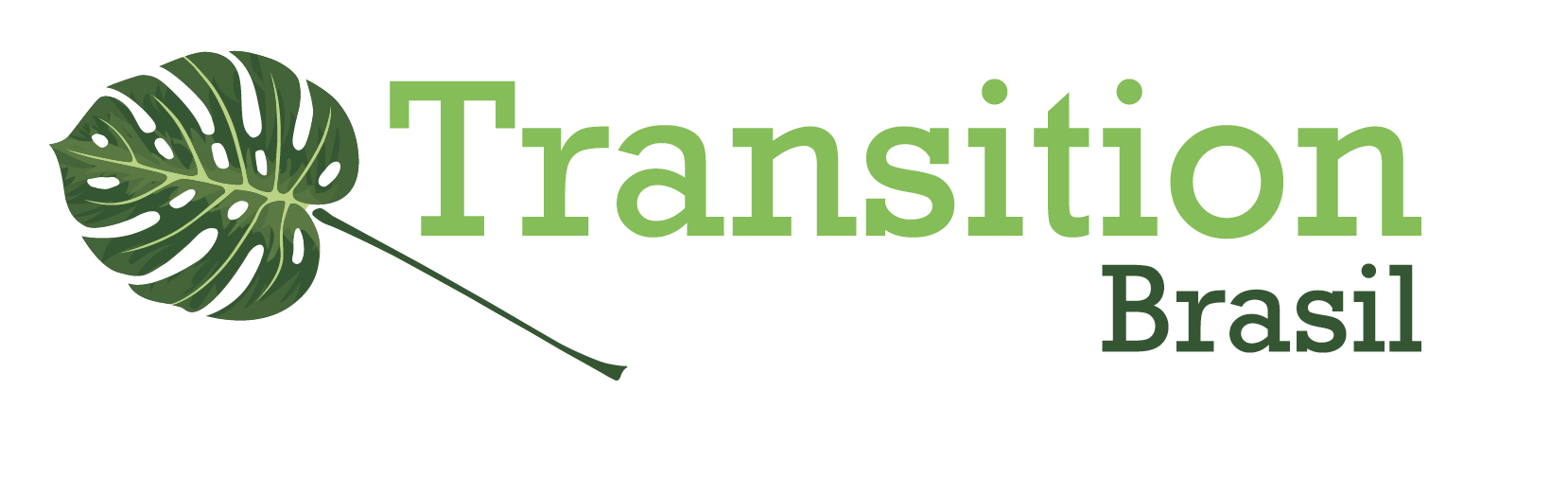 Transition Brasil